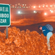 A Mexican attempts to jump over the 15-foot-high wall of beef guarding the U.S. border. Minutes after this photo was taken, the man was captured and returned to Mexico, unsuccessful but fully satiated.